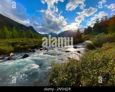 Der Alpenfluss Karakabak fließt im Sommer schnell die Steine im Altai-Gebirge hinunter. Stockfoto