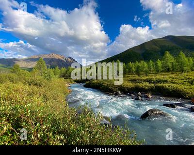 Alpenbach Karakabak fließt an einem hellen Tag schnell die Steine im Altai-Gebirge hinunter. Stockfoto