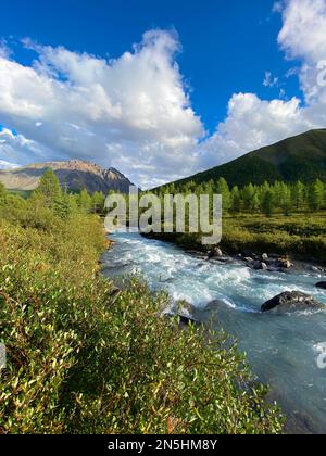 Der Alpenfluss Karakabak fließt am Sommernachmittag schnell die Steine im Altai-Gebirge im Wald hinunter. Vertikaler Rahmen. Stockfoto