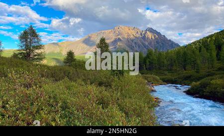 Der Alpenbach Karakabak fließt schnell die Steine im Altai-Gebirge in Sibirien im Wald hinunter. Stockfoto