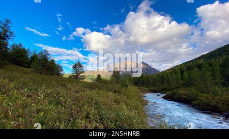 Der Alpenfluss Karakabak fließt an einem hellen Tag schnell die Steine im Altai-Gebirge in Sibirien hinunter. Stockfoto