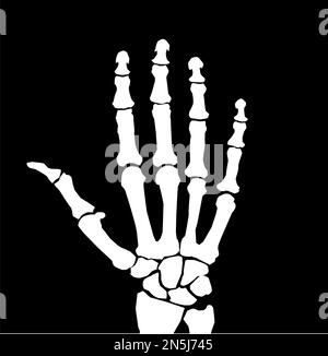 Röntgenhandsymbol auf weißem Hintergrund. Menschliches Hand-Röntgenbild-Zeichen. Das Symbol für die menschliche Hand im Röntgenstil. Flacher Stil. Stockfoto