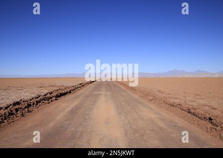 Salar de Arizaro im Puna Argentina Stockfoto