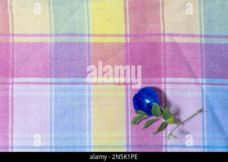 Blaue Blumen auf Tischtuch, Gingham-Hintergrund, Draufsicht, Kopierraum. Stockfoto