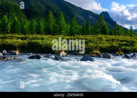 Alpenfluss mit Rillen und Steinen in einem Bergtal inmitten eines Fichtenwaldes in Altai in Sibirien bei Sonnenuntergang am Abend. Stockfoto