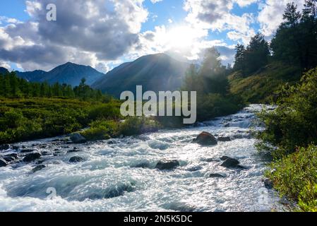 Alpenfluss mit Rillen und Steinen in einem Bergtal inmitten eines Fichtenwaldes im Altai in Sibirien. Stockfoto