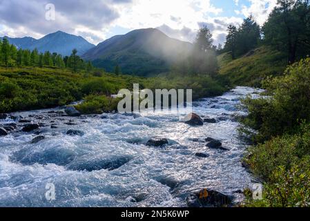 Alpenfluss mit Rillen und Steinen in einem Bergtal inmitten des Waldes in Altai in Sibirien im Sommer. Stockfoto