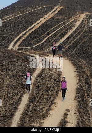 Nach dem Lauffeuer am Kai Kung Leng (Rooster Ridge) im Lam Tsuen Country Park, Yuen Long. Am 24. Januar 2023 brannten mindestens 2 ausgedehnte Flammenpfade auf dem Berg Kai Kung Leng für 16 Stunden. 01FEB23 SCMP/Elson Li Stockfoto