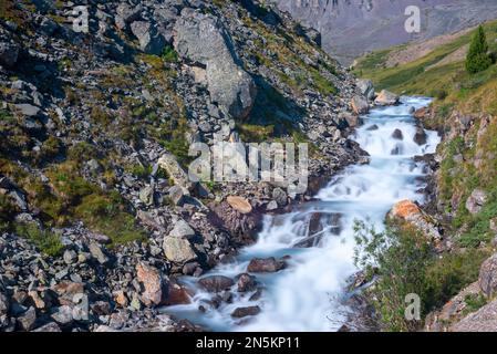 Im Sommer fließt ein Alpenbach über die Felsen in der Nähe der Berge im Altai in Sibirien. Stockfoto