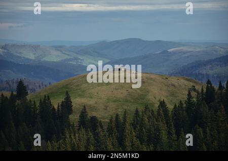 Nautrale Landschaft in den Bergen von Rumänien Wanderweg Stockfoto