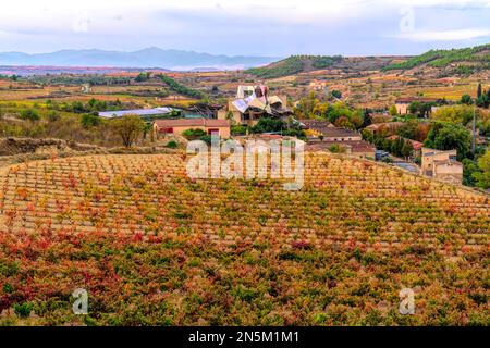 Baskenland, Spanien, Weinberg und Stadt Elciego in der Region Alava Stockfoto