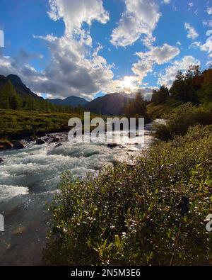 Alpenfluss mit Rillen und Steinen in einem Bergtal inmitten des Waldes im Altai in Sibirien. Vertikaler Rahmen. Stockfoto