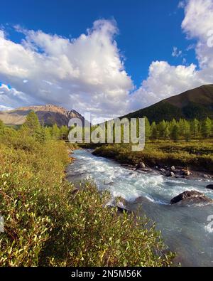 Alpenfluss mit Rinnen in einem Bergtal mit hohen Felsen inmitten des Waldes im Altai in Sibirien. Vertikaler Rahmen. Stockfoto