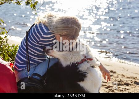 Besitzer mit einem sibirischen laika Hund am Strand. Freundschaft zwischen Hund und Frau Stockfoto