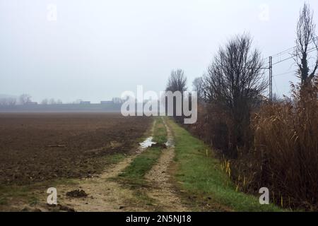 Schlammige Strecke neben einem bebauten Feld und eine Gruppe von Bäumen am Rande einer Eisenbahnstrecke an einem nebligen Tag im Winter Stockfoto