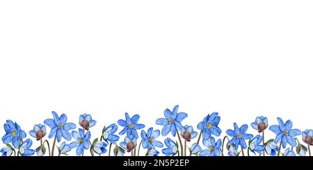 Hepatica blaue Frühlingsblumen nahtloses Banner, Rand. Aquarelldarstellung isoliert auf weißem Hintergrund Stockfoto