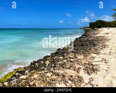 Vulkangestein entlang der Küste, Eagle Beach, Aruba Stockfoto