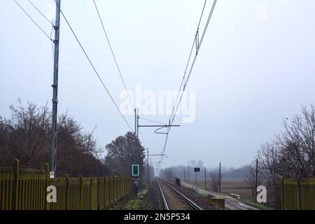 Eisenbahn an einem Ufer, umgeben von Bäumen an einem nebligen Tag im Winter Stockfoto