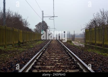 Eisenbahn an einem Ufer, umgeben von Bäumen an einem nebligen Tag im Winter Stockfoto