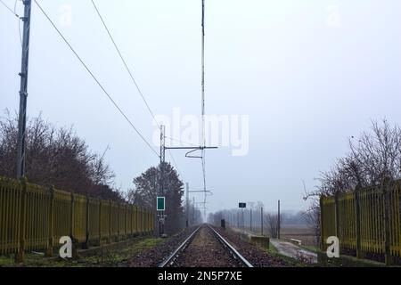 Eisenbahn an einem Ufer, umgeben von Bäumen an einem nebligen Tag im Winter Stockfoto