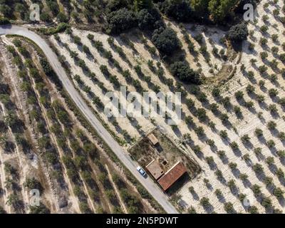 Blick aus der Vogelperspektive auf das landwirtschaftliche Gebäude im Olivenhain in der Nähe des Dorfes Gorga, Provinz Alicante, Spanien im Winter Stockfoto