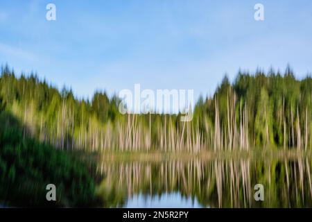 Bäume und ihre Reflexionen am Katherine Lake an der Sunshine Coast von BC werden durch die absichtliche Kamerabewegung (ICM) verschwommen. Stockfoto