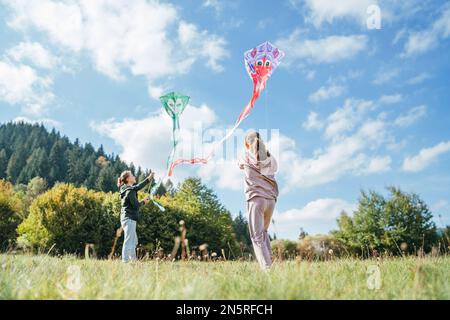 Mädchen und Bruder mit bunten Drachen auf der grünen Wiese in den Bergfeldern. Fröhliche Kindheitserlebnisse oder Zeit im Freien Stockfoto