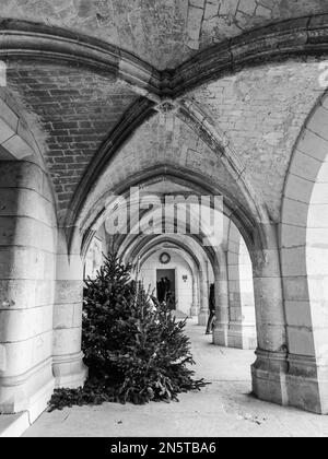 Chenonceau, Frankreich - Dez. 30 2022: Die Galerie im gotischen Stil des Amboise Castle Stockfoto