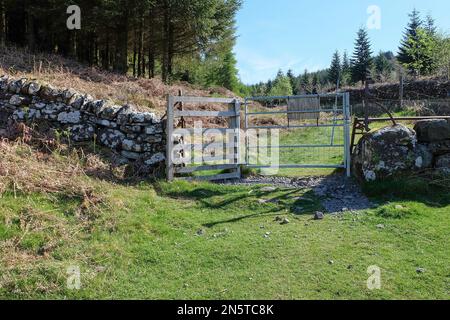 Farmtor auf dem Rob Roy Way Langstreckenpfad auf dem Abschnitt zwischen Aberfoyle und Callander. Die Trossachs, Schottland. Stockfoto