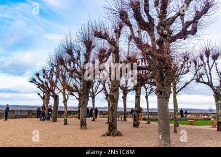 Amboise, Frankreich - 30 2022. Dez.: Herrlicher königlicher Garten im Schloss Amboise Stockfoto