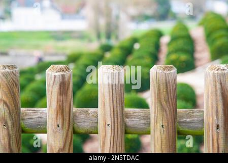 Amboise, Frankreich - 30 2022. Dez.: Herrlicher königlicher Garten im Schloss Amboise Stockfoto