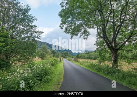 Der Wanderweg Rob Roy Way führt entlang der National Cycle Route 7 auf dem Weg nach Norden von Callander nach Strathyre. Schottisches Hochland. Stockfoto