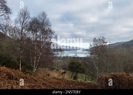 Blick auf Loch Earn vom Rob Roy Way Langstreckenwanderweg in Glen Ogle. Loch Lomond und der Trossachs-Nationalpark, Highlands von Schottland. Stockfoto
