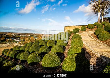 Amboise, Frankreich - 30 2022. Dez.: Herrlicher königlicher Garten im Schloss Amboise Stockfoto