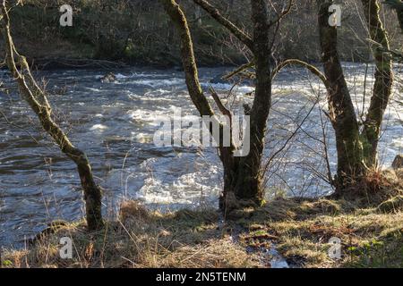 Die Stromschnellen der Fälle von Leny am Fluss Leny. (Auch bekannt als Garbh uisge) vom Rob Roy Way am Pass of Leny in der Nähe von Callander, Schottland. Stockfoto