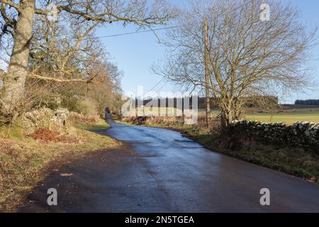 Der Wanderweg Rob Roy Way führt von Drymen aus auf der National Cycle Route 7 in nördlicher Richtung. Loch Lomond und der Trossachs-Nationalpark. Stockfoto