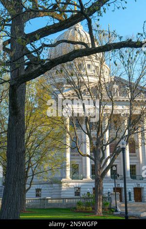 Ein vertikales Bild des Wisconsin State Capitol hinter den Bäumen vor dem blauen sonnigen Himmel Stockfoto