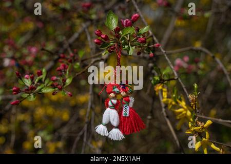 Hintergrund der Grußkarte für die Ankunft des Frühlings. Rot-weiße Männer und Frauen Figuren Martenitsa - bulgarisches Frühlingssymbol auf blühender Kirschpflaume. Stockfoto