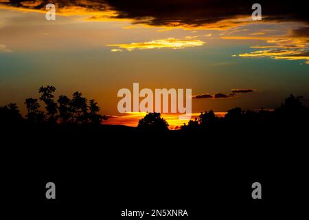 Baumsilhouetten im fallenden Dämmerlicht Stockfoto