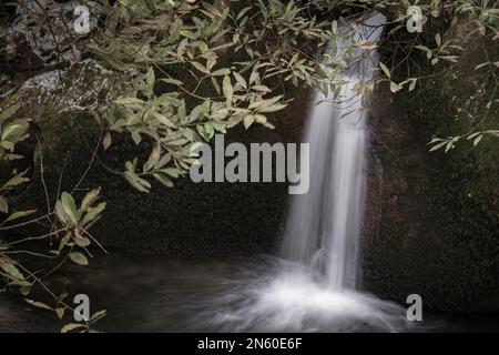 Der französische Brunnen in Hoznayo, ein Ort in Kantabrien mit medizinischen mineralischen Eigenschaften, die zur Schaffung eines Kurorts im 19. Jahrhundert führten, spanisch Stockfoto