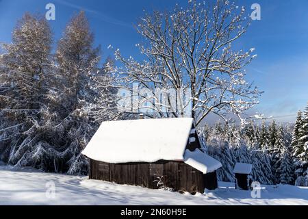Alte traditionelle Holzhütte, Hütte in den Beskiden in Polen bedeckt mit frischem weißem Schnee, Wald und Bergglade im Winter, Wegierska Gorka. Stockfoto