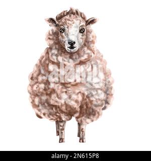 Flauschige milchfarbene Schafe im Vollwuchs. Digitale Illustration. Isolierte Objekte Stockfoto