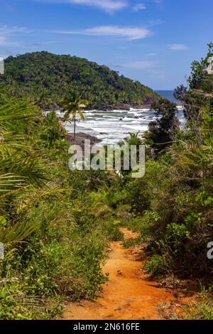 Weg zum Strand am Itacarezinho Beach, Itacare, Bahia, Brasilien Stockfoto