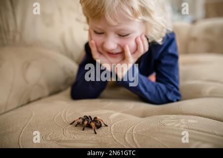 Ein kleines Mädchen ohne Arachnophobie spielt zu Hause auf der Couch mit einer Spinne Stockfoto