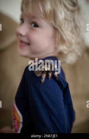 Das Kind hatte Angst vor einer riesigen Spinne, die auf seinem Rücken krabbelte. Das Baby hat Angst, dass die Tarantel auf ihrer Schulter springt. Stockfoto