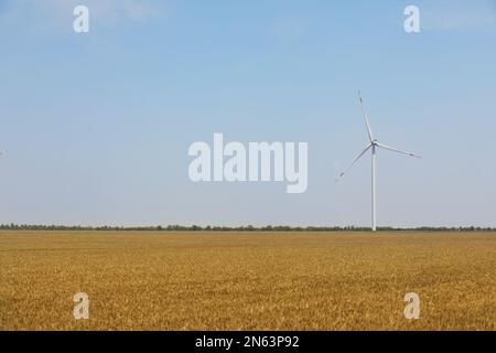 Moderne Windturbine im Weizenfeld. Energieeffizienz Stockfoto