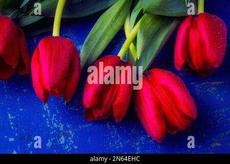 Fünf rote Tulpen Stockfoto
