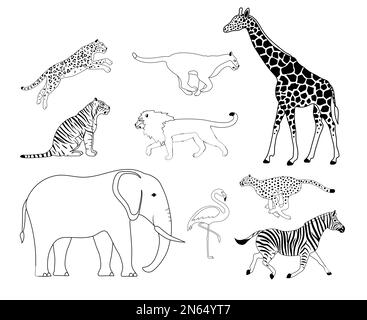 Vektorset flacher afrikanischer Wildtiere Stock Vektor