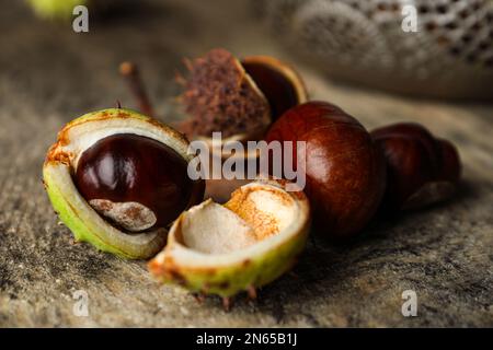 Rosskastanien auf einem Holztisch, Nahaufnahme Stockfoto