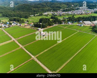 Reisfeld, Schachbrettmuster, Bauernhäuser, Fuß der Berge, Drohnenantenne, Yokote City, Akita, Tohoku, Japan, Ostasien, Asien Stockfoto